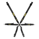 Schroth Profi 2x2 XLT Harness